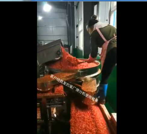 辣椒酱专用振动筛视频