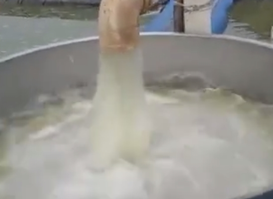 污水过滤筛现场使用视频