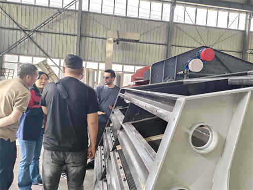 热烈欢迎外国友人莅临高卓振动设备,共话国际合作新篇章